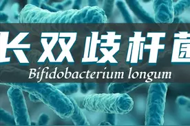 双歧杆菌：长双歧杆菌图片