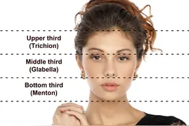 美女脸的标准和标准原则图片