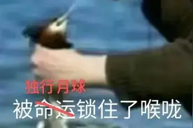 这回“沈腾含量”百分百，但还是被骗了图片