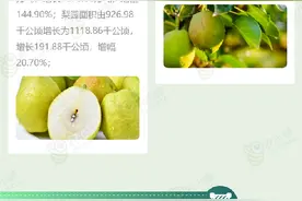 一图读懂我国梨产业发展现状图片