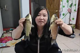 早春野钓“大板鲫”秘籍，一整套独门钓法教学，从此告别空军图片