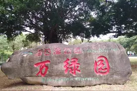 老百姓的智慧永远天长地久（续）图片