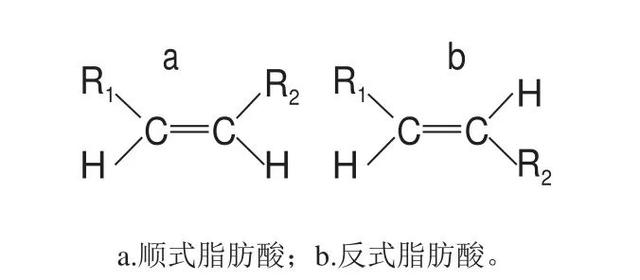 脂肪,脂肪酸,饱和与不饱和脂肪酸,顺式与反式脂肪酸,一次说清