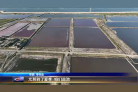 畅游七彩盐湖 开启魅力之旅图片