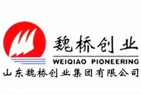 世界铝王的生死劫，最严电厂政策出炉，魏桥多数自备电厂不合规图片