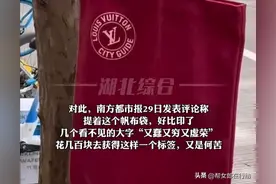 奢侈品是“智商税”吗，媒体锐评“花580元买LV帆布袋”，又蠢又穷又虚荣图片