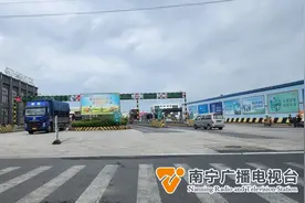 正大量上市，广西的“榴莲自由”来了吗？图片