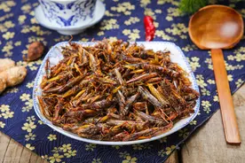 蚂蚱可以炸着吃，为啥蝗灾的时候不吃蝗虫呢图片