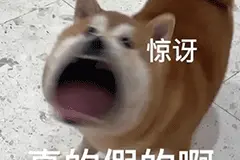 表情包 | 小狗也会不高兴图片