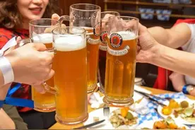 为何德国啤酒的品质如此卓越？这7款德国啤酒值得一试，麦香醇厚图片