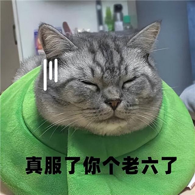 《命运方舟》新版本大更新！同样都是腾讯代理，差距怎么这么大？