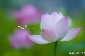 命里有时终须有，命里无时莫强求：有很多事，冥冥中早已注定图片