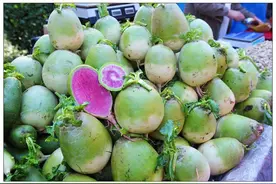 翻译趣事层出不穷图片