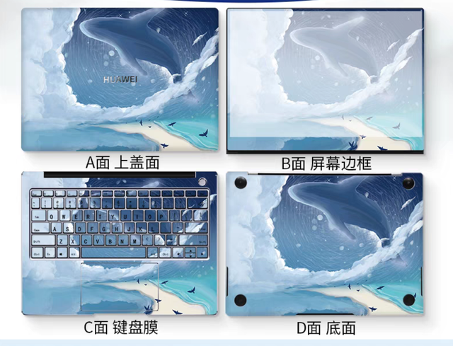 ��ѧ����ѧ�ؿ���������֪���������Ʒ����ϸ�ڣ�