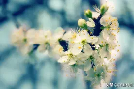 “人无常态必有鬼”：这些人来到你身边，命中注定是来克你的图片