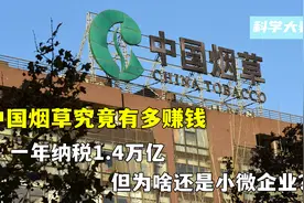 中国烟草究竟有多赚钱？一年纳税1.4万亿，为啥还是小微企业？图片