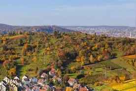 这个公司专招60岁以上的老年人，我混了进去，惊叹不已图片