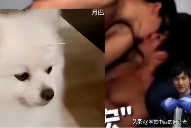 台媒爆王力宏乱战3人欢爱照！范玮琪徐若瑄动作娴熟，玩的可真花