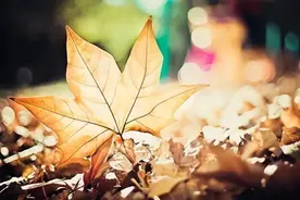 人到六十岁，命里出现这三个征兆，是老天爷在帮你图片