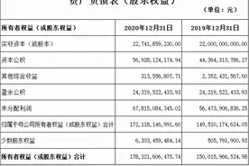 一篇文章搞懂资产负债表——股东权益图片