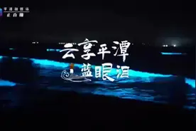 平潭“蓝眼泪”！这款新晋IP你刷过了吗？图片