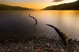 600多万斤鱼离奇消失！2006年，福建泰宁金湖发生了什么？图片