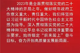 定了！2023年，菏泽将这样干！图片