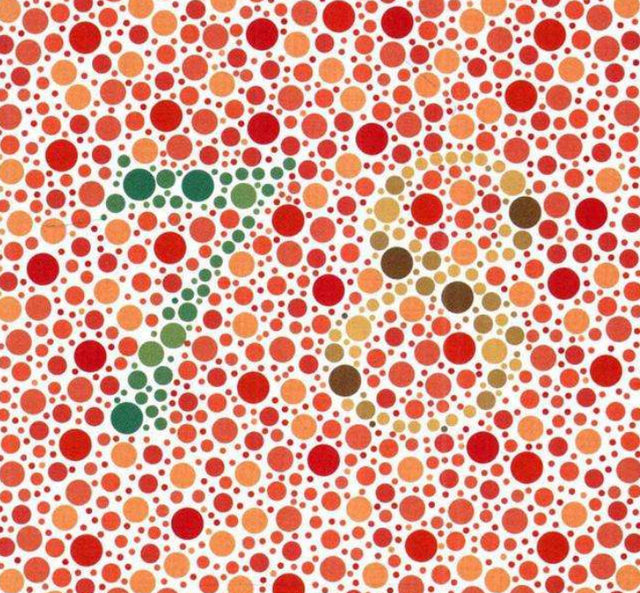 第五张是反向测试图,看不到数字是正常的(色盲测试图第五版共几页啊)