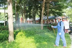 院子里蚊子多，就用这三种控蚊方法图片