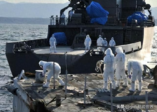 美国开始怕了：日本千叶出现海龟尸体，难道是核污水杀死的？