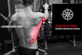 只需1条阻力带，在家拉出V型背、圣诞树图片