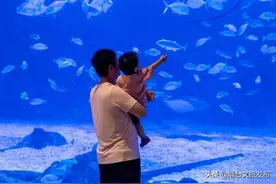 快收藏！烟台这些儿童节打卡好地，颜值高还好玩！图片