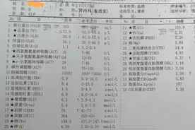 肾穿后我做了一件令我后悔终身的事图片
