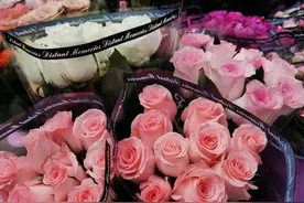 爱着你，却不敢联系，想念你，只能放在心里图片