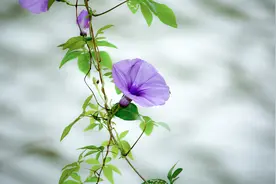 人到中年，当亲人寒了你的心，做好以下事你就赢了图片