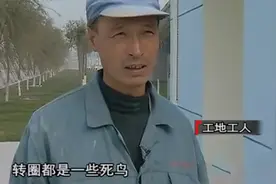 2006年，辽宁山村几百只飞鸟突然暴毙，地点相同，专家发现不简单图片