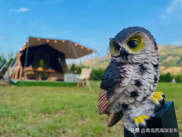 “五一”假期畅游西海岸，这份指南请查收！