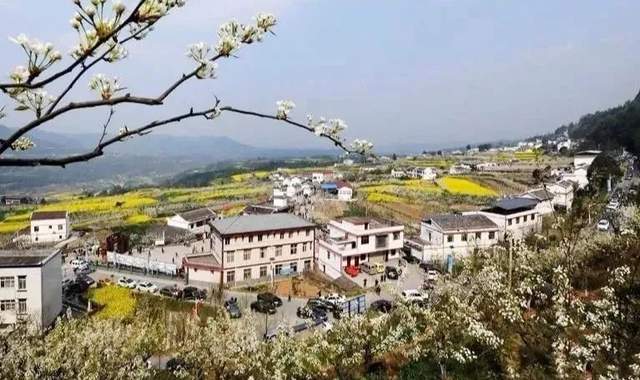 四川省民生研究会新媒体中心-官网