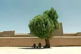 美团对战拼多多：重塑美团的社区团购战役图片