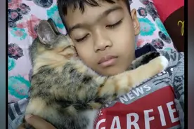 小猫咪抱着男孩一起睡觉，脸对着脸相拥的画面，也太治愈了吧图片