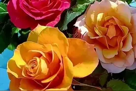 写给梦里的爱人，不联系，不相见，仍然深爱着你，想念着你图片