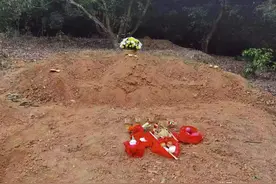 6旬老太驾三轮车载孙子孙女去荔枝园，车子落水3人溺亡，家人称河边无护栏索赔，律师称可按过错比例划分责任图片