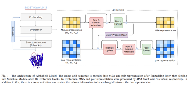 512块A100，AlphaFold训练时间压缩至67h：尤洋团队FastFold上线