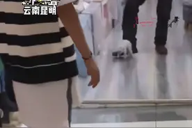 流浪猫跑进店内，却被店主无情用脚踢走：就不能温柔一些吗？图片