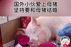 「每日话题」你都看过哪些令人捧腹的「狗血新闻」图片