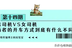 男司机VS女司机，两者的开车方式到底有什么不同？过来人说出真相图片