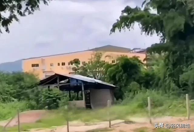 不要去缅北！诈骗卖淫割腰子有去无回，幸存者讲述生不如死的经历