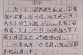 小学生作文《怀孕》火了，老师评论满分，笑完一声叹息图片