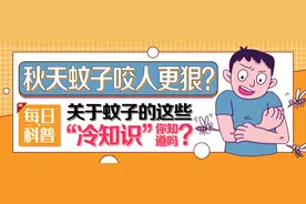 【山东科协每日科普】秋天蚊子咬人更狠？关于蚊子的这些“冷知识”你知道吗？图片