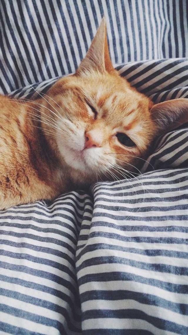 Ȧİӣ׾Թ϶ת˲件ЦȻɳ